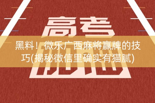 黑料！微乐广西麻将赢牌的技巧(揭秘微信里确实有猫腻)
