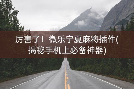 厉害了！微乐宁夏麻将插件(揭秘手机上必备神器)