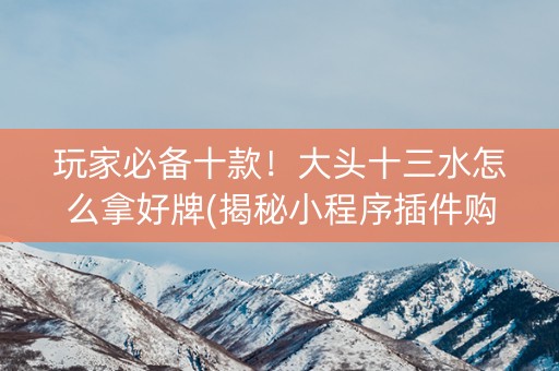 玩家必备十款！大头十三水怎么拿好牌(揭秘小程序插件购买)