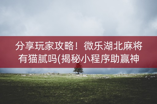 分享玩家攻略！微乐湖北麻将有猫腻吗(揭秘小程序助赢神器购买)