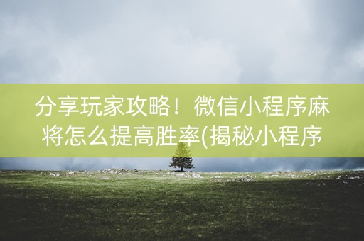 分享玩家攻略！微信小程序麻将怎么提高胜率(揭秘小程序赢牌的技巧)