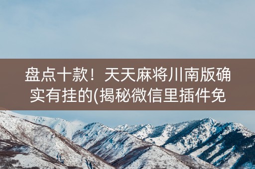 盘点十款！天天麻将川南版确实有挂的(揭秘微信里插件免费)