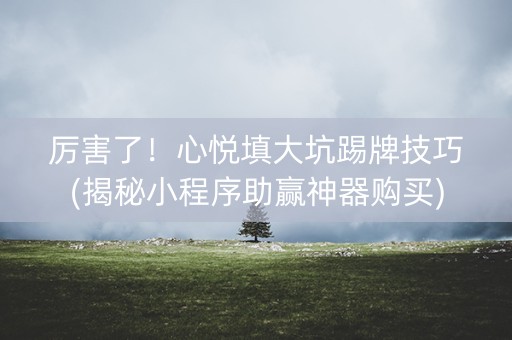 厉害了！心悦填大坑踢牌技巧(揭秘小程序助赢神器购买)