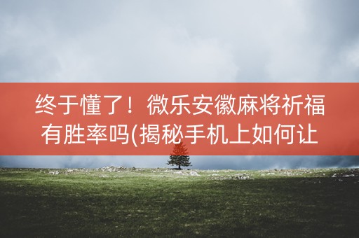 终于懂了！微乐安徽麻将祈福有胜率吗(揭秘手机上如何让牌变好)