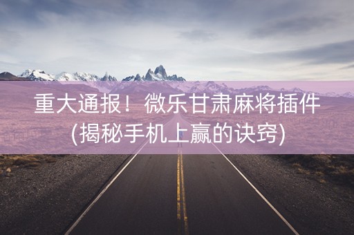 重大通报！微乐甘肃麻将插件(揭秘手机上赢的诀窍)