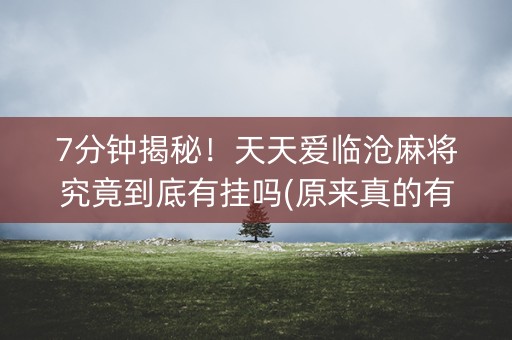 7分钟揭秘！天天爱临沧麻将究竟到底有挂吗(原来真的有挂)