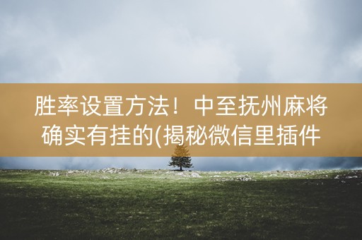 胜率设置方法！中至抚州麻将确实有挂的(揭秘微信里插件下载)