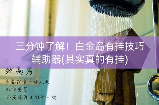 三分钟了解！白金岛有挂技巧辅助器(其实真的有挂)