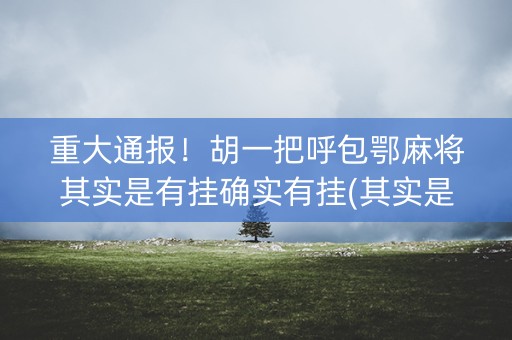 重大通报！胡一把呼包鄂麻将其实是有挂确实有挂(其实是有挂的)