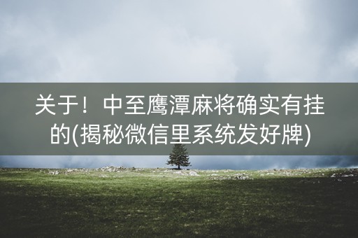 关于！中至鹰潭麻将确实有挂的(揭秘微信里系统发好牌)