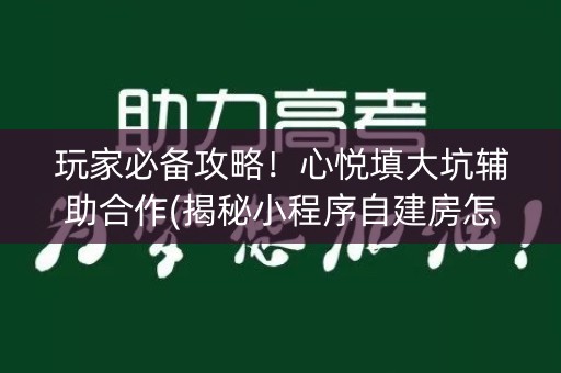 玩家必备攻略！心悦填大坑辅助合作(揭秘小程序自建房怎么赢)