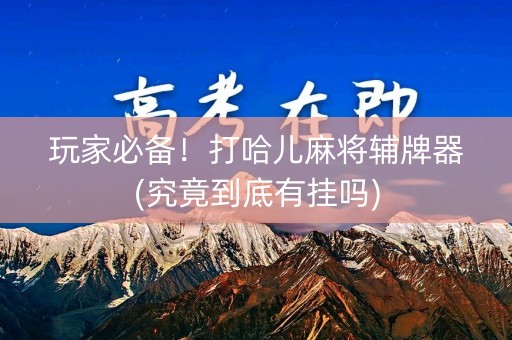 玩家必备！打哈儿麻将辅牌器(究竟到底有挂吗)