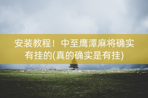 安装教程！中至鹰潭麻将确实有挂的(真的确实是有挂)