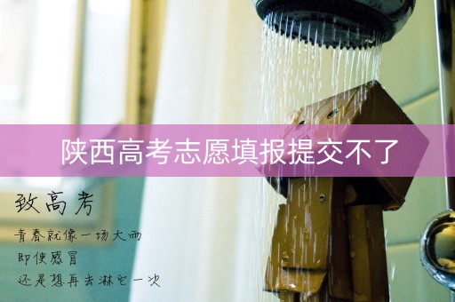 陕西高考志愿填报提交不了