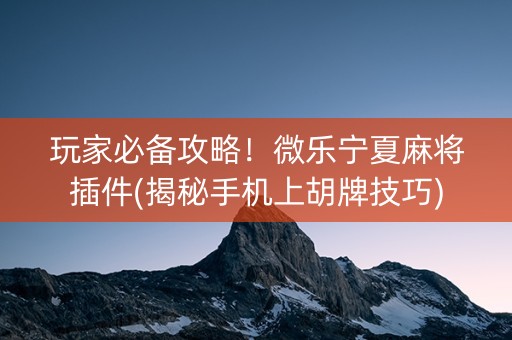 玩家必备攻略！微乐宁夏麻将插件(揭秘手机上胡牌技巧)