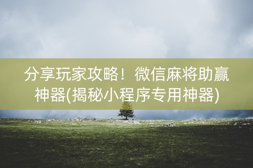 分享玩家攻略！微信麻将助赢神器(揭秘小程序专用神器)