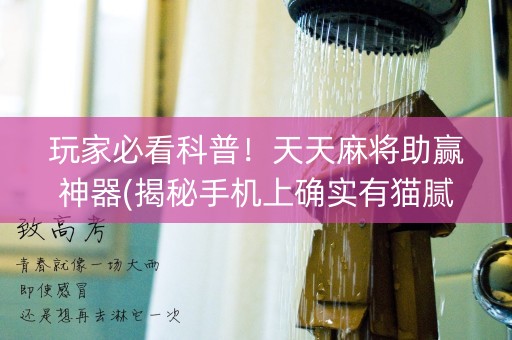 玩家必看科普！天天麻将助赢神器(揭秘手机上确实有猫腻)