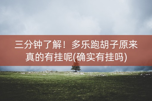 三分钟了解！多乐跑胡子原来真的有挂呢(确实有挂吗)