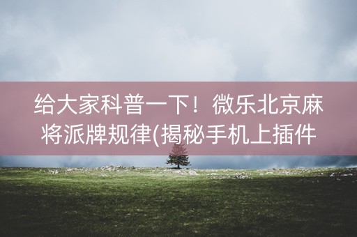给大家科普一下！微乐北京麻将派牌规律(揭秘手机上插件购买)