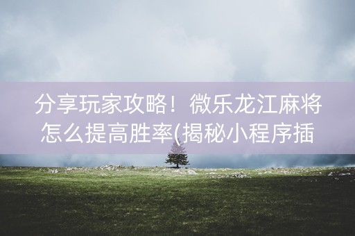 分享玩家攻略！微乐龙江麻将怎么提高胜率(揭秘小程序插件下载)