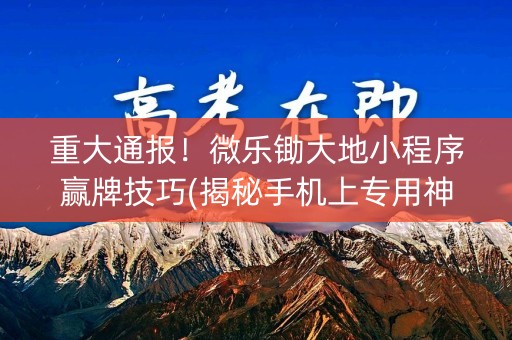 重大通报！微乐锄大地小程序赢牌技巧(揭秘手机上专用神器下载)