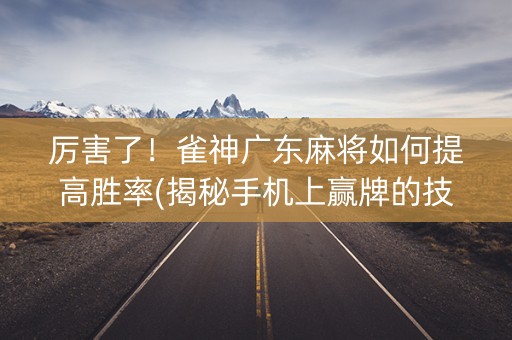 厉害了！雀神广东麻将如何提高胜率(揭秘手机上赢牌的技巧)