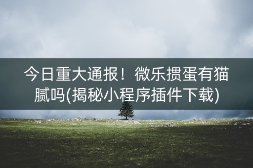 今日重大通报！微乐掼蛋有猫腻吗(揭秘小程序插件下载)