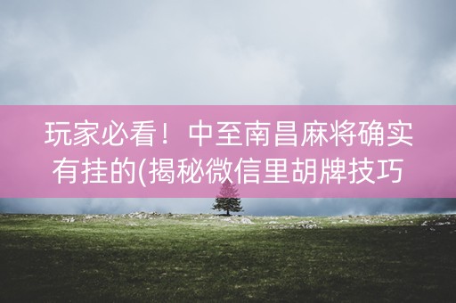 玩家必看！中至南昌麻将确实有挂的(揭秘微信里胡牌技巧)