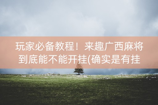 玩家必备教程！来趣广西麻将到底能不能开挂(确实是有挂)