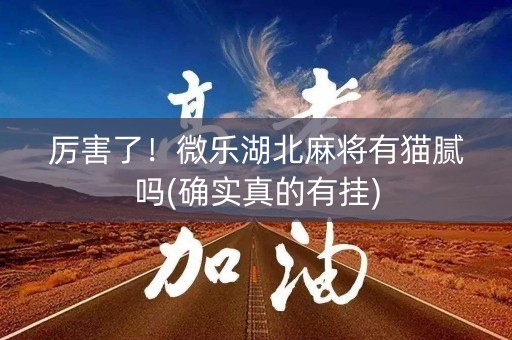 厉害了！微乐湖北麻将有猫腻吗(确实真的有挂)