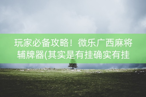 玩家必备攻略！微乐广西麻将辅牌器(其实是有挂确实有挂)