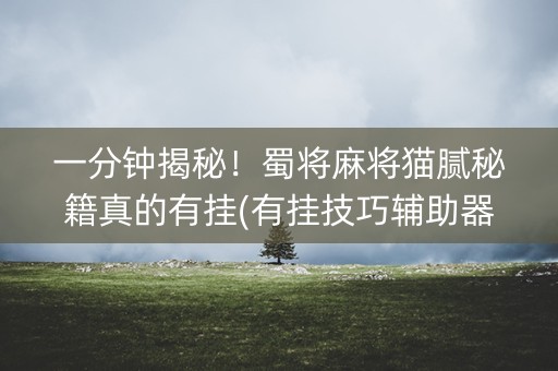 一分钟揭秘！蜀将麻将猫腻秘籍真的有挂(有挂技巧辅助器)