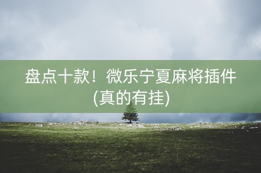 盘点十款！微乐宁夏麻将插件(真的有挂)