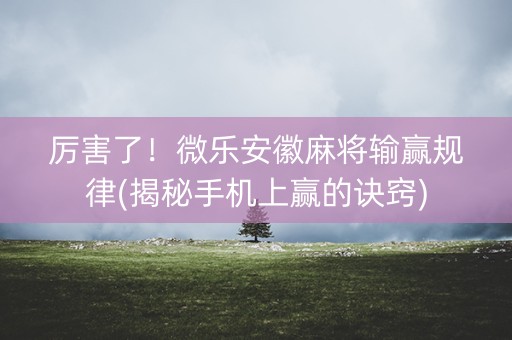 厉害了！微乐安徽麻将输赢规律(揭秘手机上赢的诀窍)