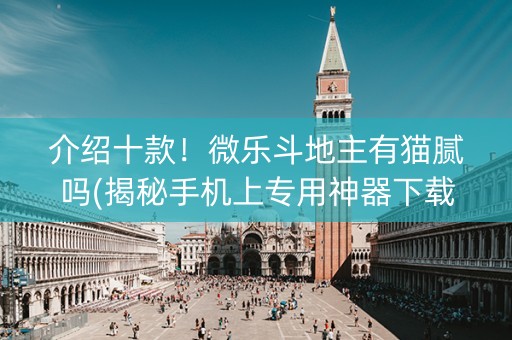 介绍十款！微乐斗地主有猫腻吗(揭秘手机上专用神器下载)