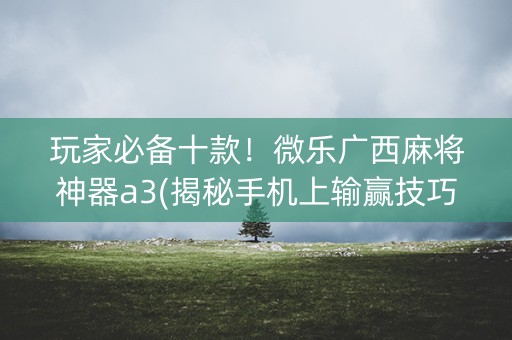 玩家必备十款！微乐广西麻将神器a3(揭秘手机上输赢技巧)