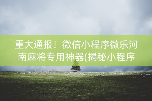 重大通报！微信小程序微乐河南麻将专用神器(揭秘小程序插件免费)