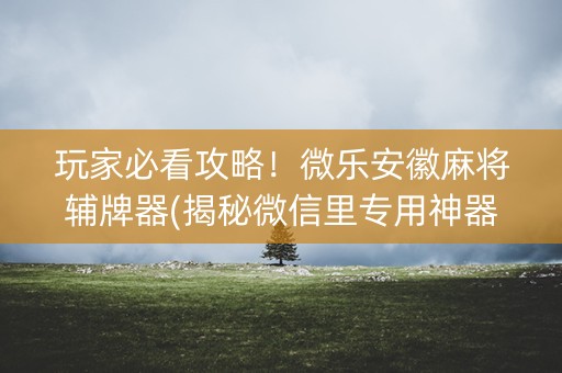 玩家必看攻略！微乐安徽麻将辅牌器(揭秘微信里专用神器)