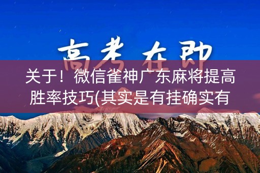 关于！微信雀神广东麻将提高胜率技巧(其实是有挂确实有挂)