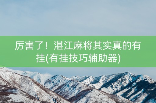 厉害了！湛江麻将其实真的有挂(有挂技巧辅助器)