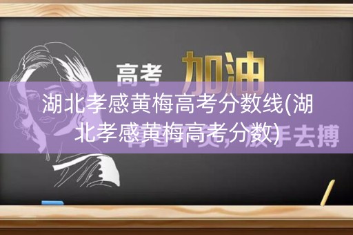 湖北孝感黄梅高考分数线(湖北孝感黄梅高考分数)