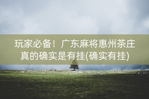 玩家必备！广东麻将惠州茶庄真的确实是有挂(确实有挂)