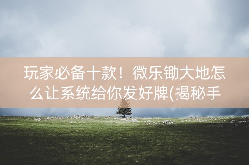 玩家必备十款！微乐锄大地怎么让系统给你发好牌(揭秘手机上输赢技巧)