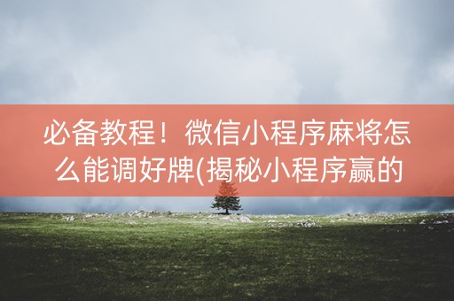 必备教程！微信小程序麻将怎么能调好牌(揭秘小程序赢的秘诀)