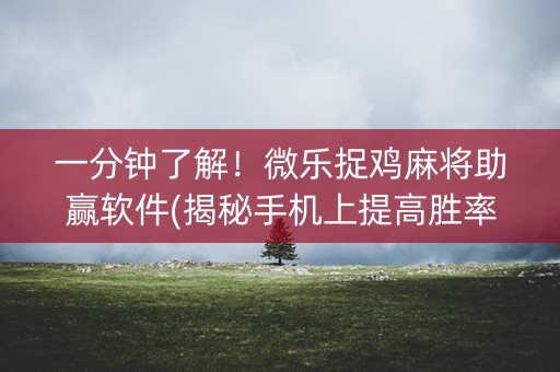 一分钟了解！微乐捉鸡麻将助赢软件(揭秘手机上提高胜率)