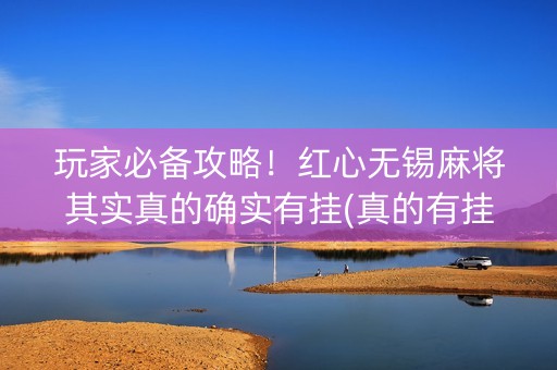 玩家必备攻略！红心无锡麻将其实真的确实有挂(真的有挂)