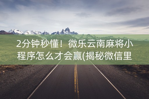 2分钟秒懂！微乐云南麻将小程序怎么才会赢(揭秘微信里辅牌器)