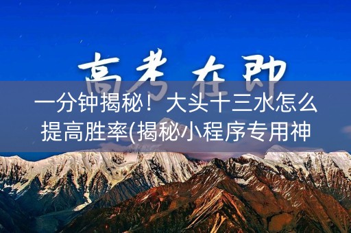 一分钟揭秘！大头十三水怎么提高胜率(揭秘小程序专用神器)