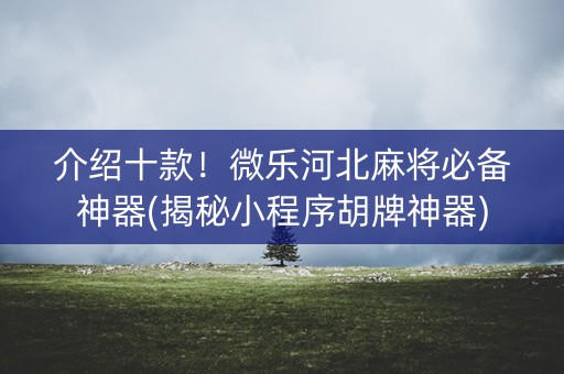 介绍十款！微乐河北麻将必备神器(揭秘小程序胡牌神器)