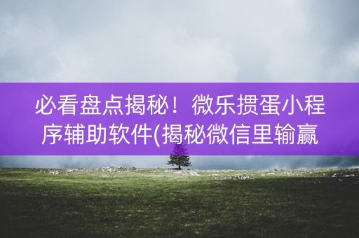 必看盘点揭秘！微乐掼蛋小程序辅助软件(揭秘微信里输赢技巧)